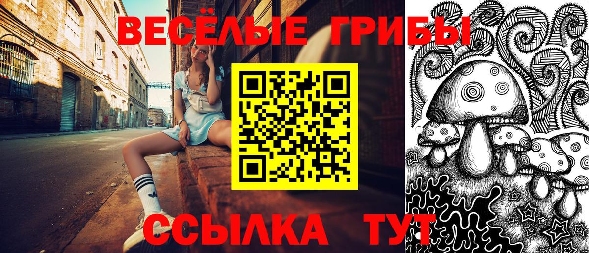 Кандалакша  Галлюциногенные грибы Magic Shrooms  Галлюциногенные грибы GOLDEN TEACHER  Вход с VPN 