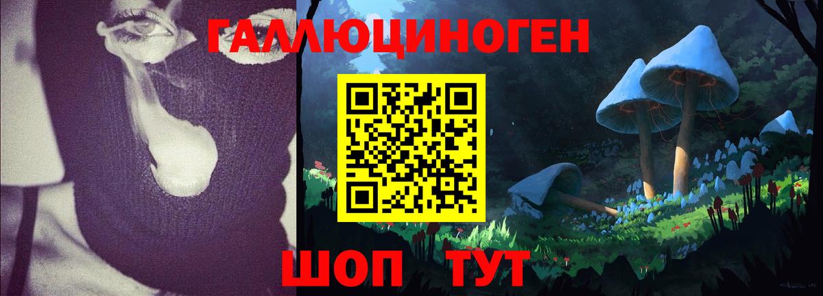 Псилоцибиновые грибы Psilocybine cubensis Кандалакша